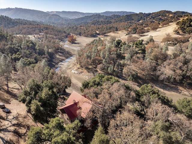 birds eye view of property featuring a mountain view