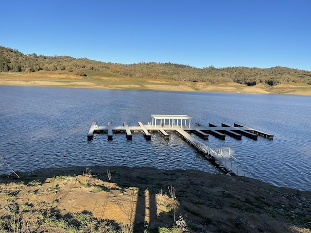 dock area with a water view