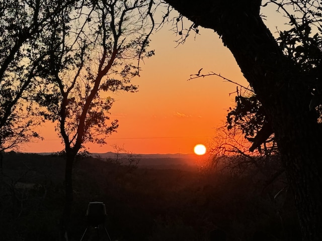 view of nature at dusk