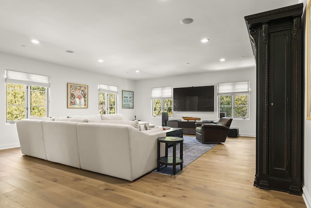 living room featuring plenty of natural light and light wood-type flooring