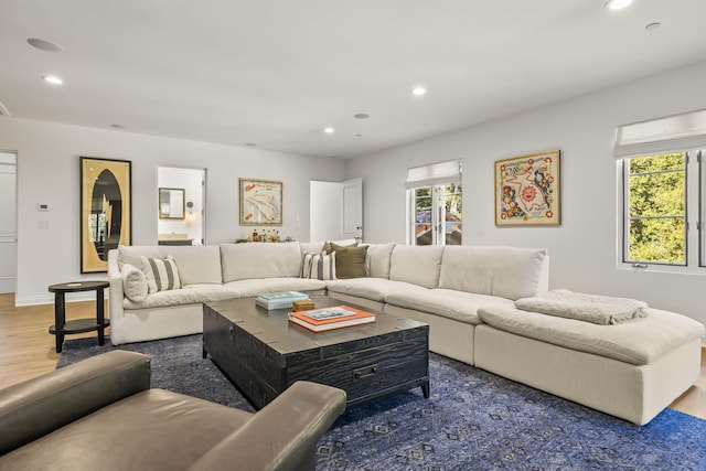 living room featuring dark hardwood / wood-style floors