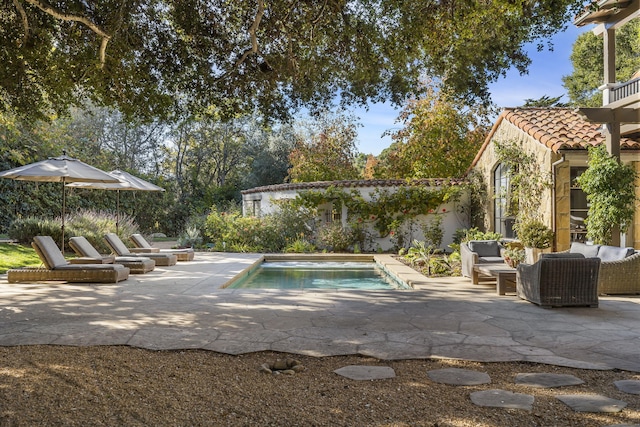 view of pool with a patio area