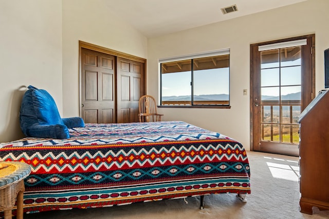 carpeted bedroom with multiple windows, a closet, and lofted ceiling