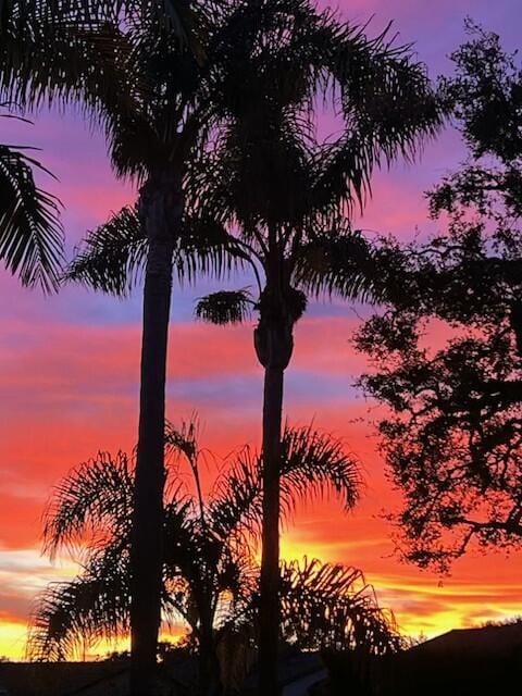 view of nature at dusk