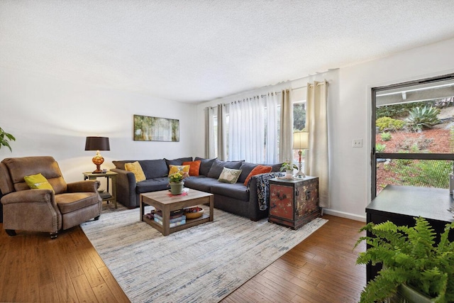 living room featuring hardwood / wood-style flooring and a textured ceiling