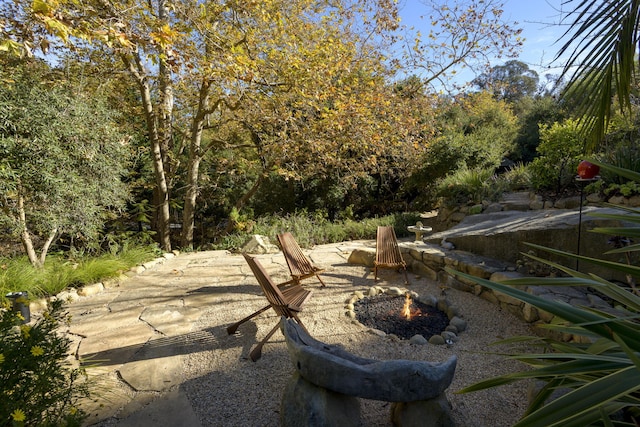 view of yard with a patio area and an outdoor fire pit