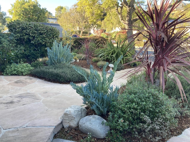 view of yard with a patio