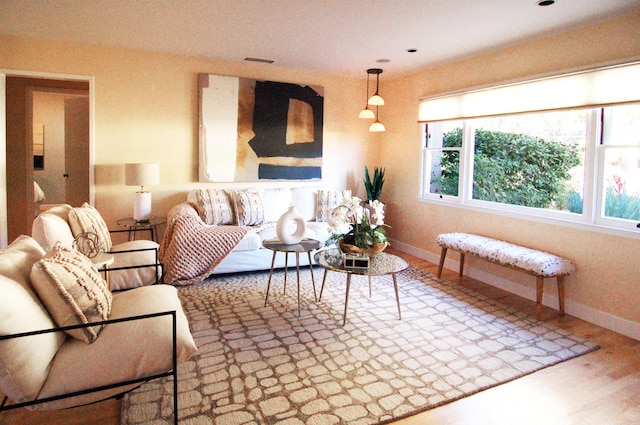 living room featuring wood-type flooring