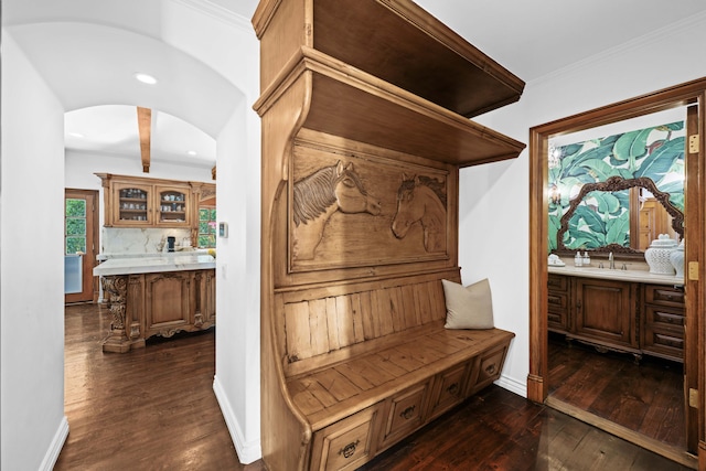 mudroom with sink and dark wood-type flooring