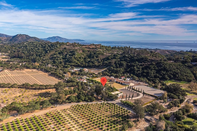 drone / aerial view featuring a water and mountain view