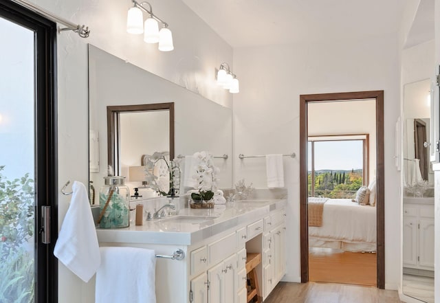 bathroom with vanity and hardwood / wood-style flooring