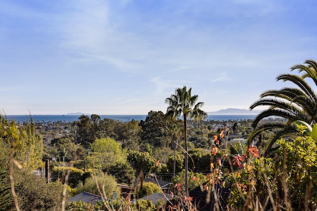 view of landscape with a water and mountain view