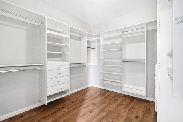 spacious closet featuring dark wood finished floors