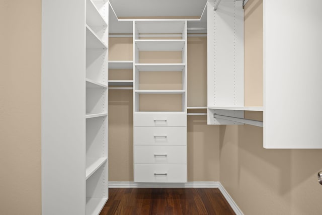 spacious closet with dark hardwood / wood-style floors