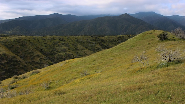 0 Wasioja Rd, New Cuyama CA, 93254 land for sale