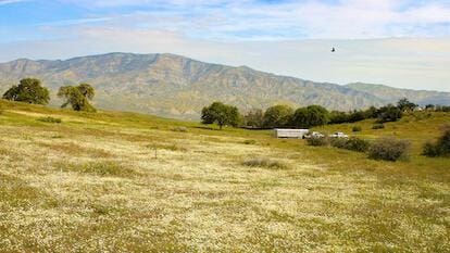 Listing photo 2 for 0 Wasioja Rd, New Cuyama CA 93254