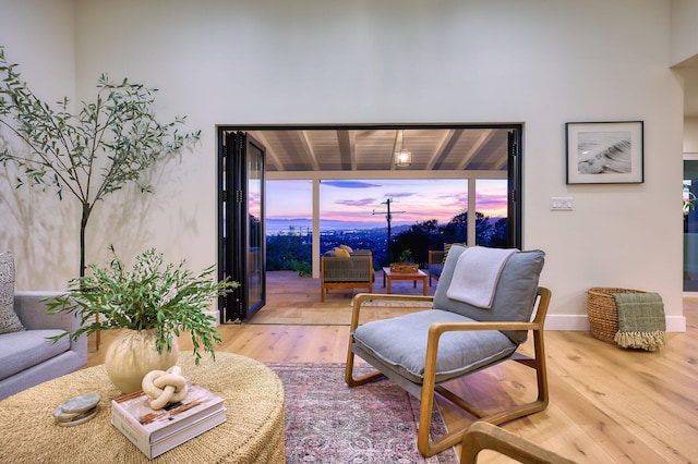 living room featuring hardwood / wood-style floors