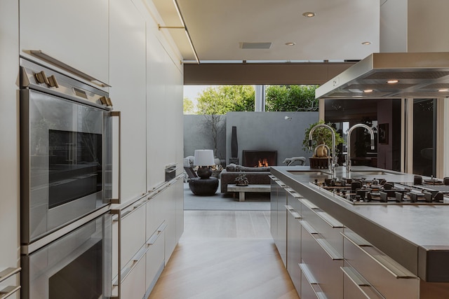 kitchen with white cabinets, ventilation hood, sink, and appliances with stainless steel finishes