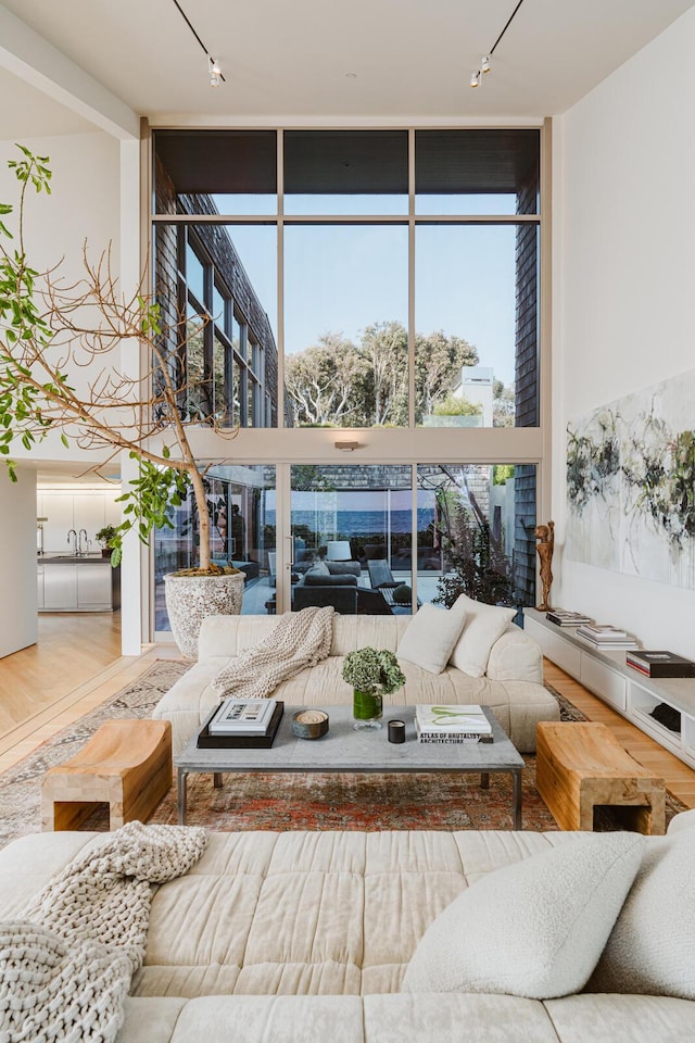 living room featuring floor to ceiling windows, wood-type flooring, sink, and track lighting