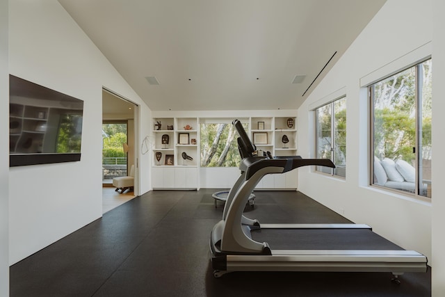 workout area featuring built in shelves and lofted ceiling