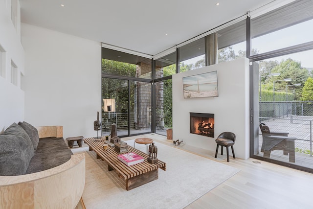 living room with a healthy amount of sunlight, wood-type flooring, and a wall of windows