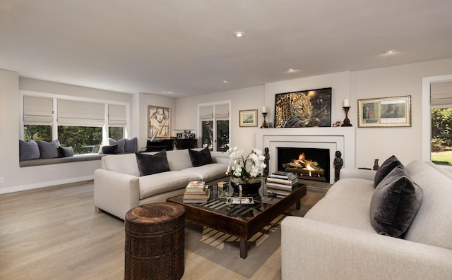 living room featuring a wealth of natural light and light hardwood / wood-style floors