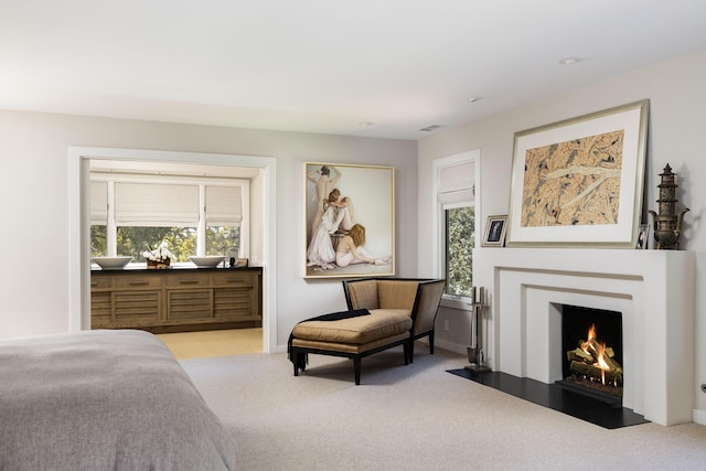 view of carpeted bedroom