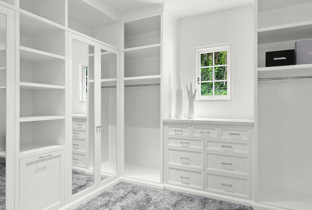 spacious closet with carpet flooring