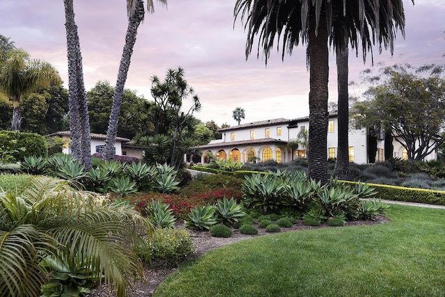 view of yard at dusk