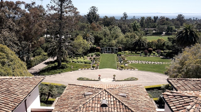 view of community with a lawn