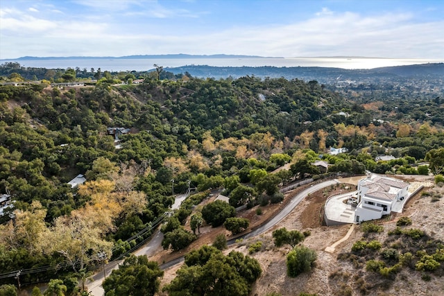 bird's eye view featuring a view of trees