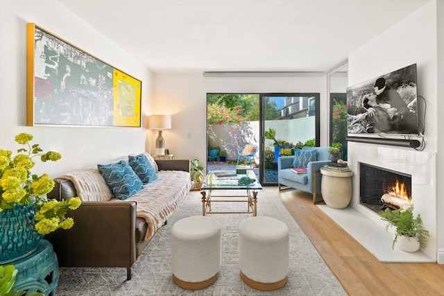 living room featuring hardwood / wood-style flooring