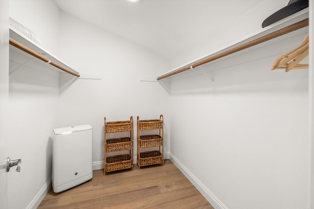 spacious closet featuring light hardwood / wood-style flooring