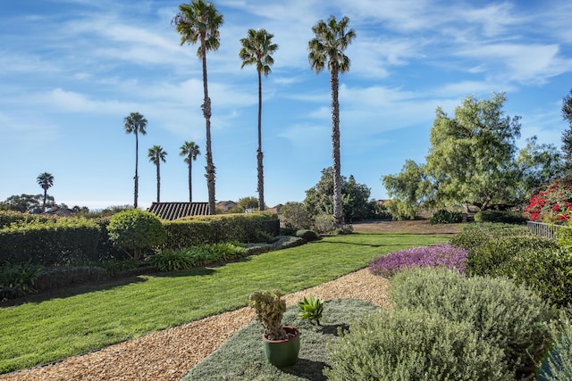 4440 Shadow Hills Cir Unit C, Santa Barbara, CA 93105 - photo 3