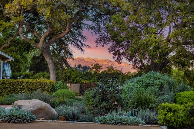 708 Cuyama Rd, Ojai, CA 93023 - yard at dusk with a mountain view