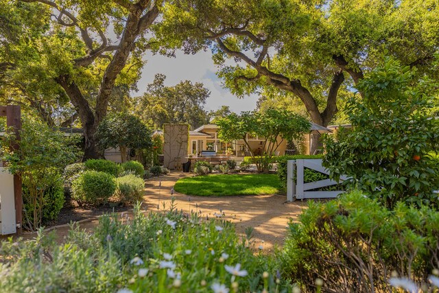 708 Cuyama Rd, Ojai, CA 93023 - view of yard