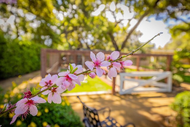 708 Cuyama Rd, Ojai, CA 93023 - view of details