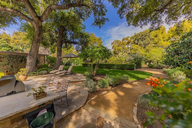 708 Cuyama Rd, Ojai, CA 93023 - view of patio featuring exterior kitchen