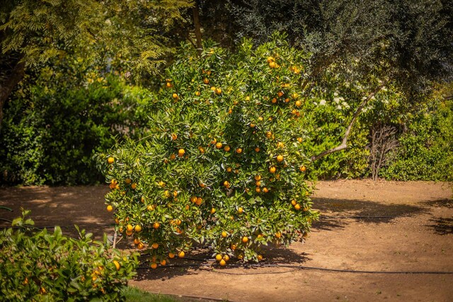 708 Cuyama Rd, Ojai, CA 93023 - view of exterior details