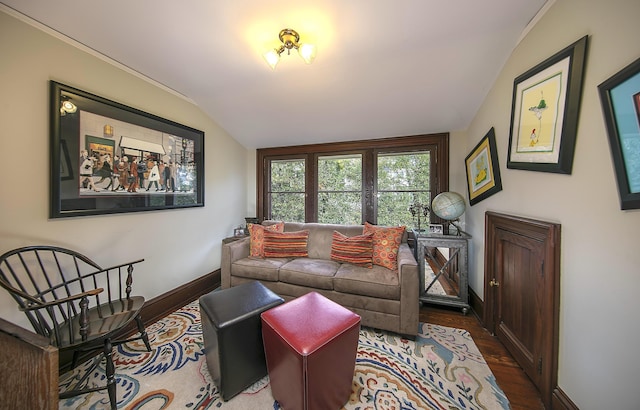 living room with lofted ceiling and dark wood-type flooring