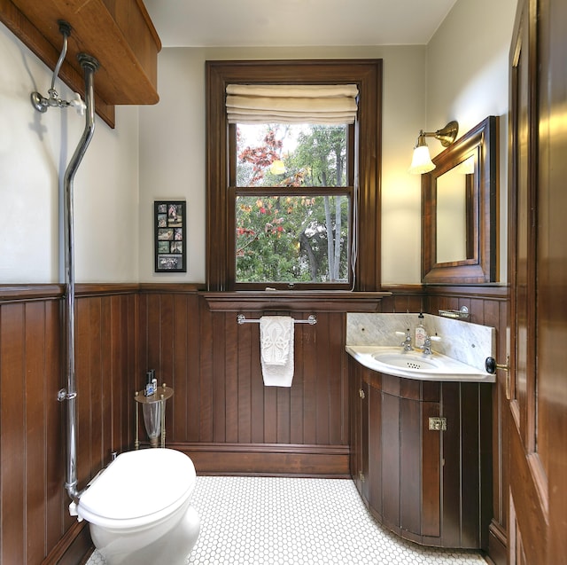 bathroom featuring toilet, vanity, and wooden walls