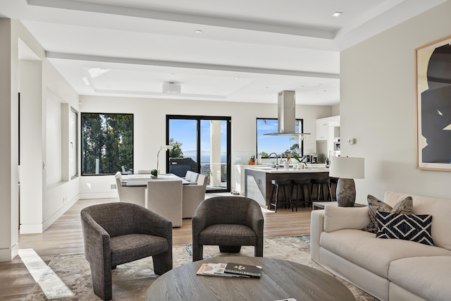 living room with a raised ceiling and light hardwood / wood-style flooring