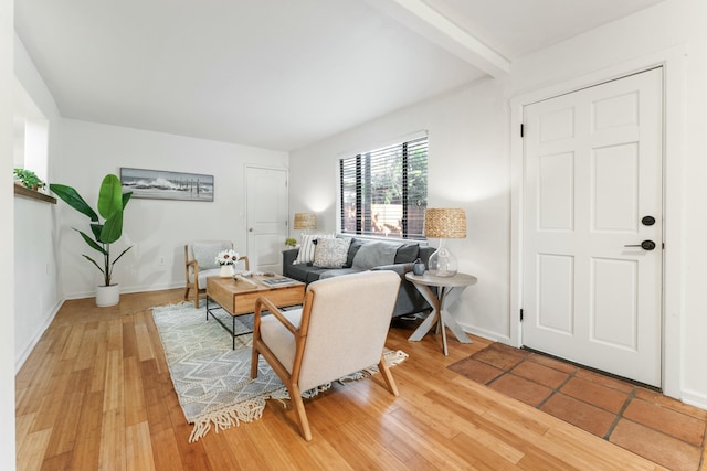 living room featuring wood-type flooring