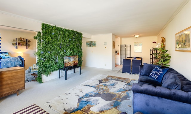 living room featuring light colored carpet and crown molding