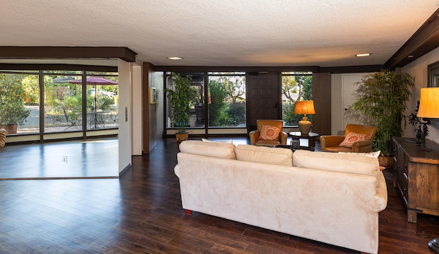 living room featuring a textured ceiling, a healthy amount of sunlight, and dark hardwood / wood-style floors