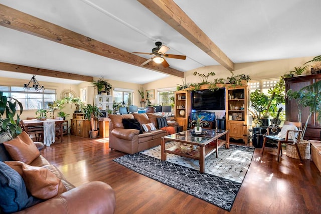 living room featuring ceiling fan with notable chandelier, hardwood / wood-style flooring, and beamed ceiling