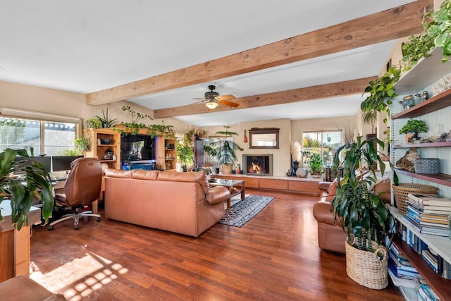 living room with ceiling fan and dark wood-type flooring