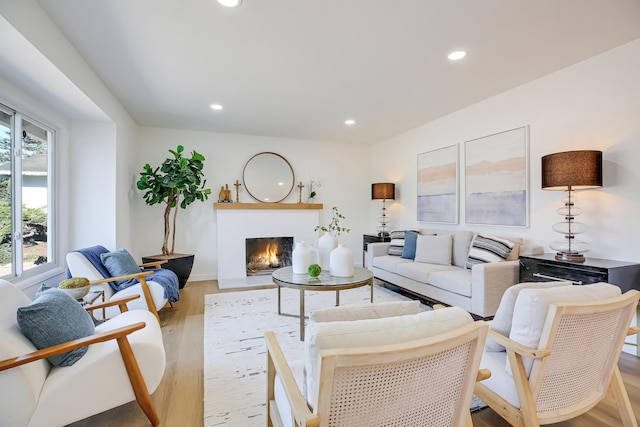 living room with light wood-type flooring