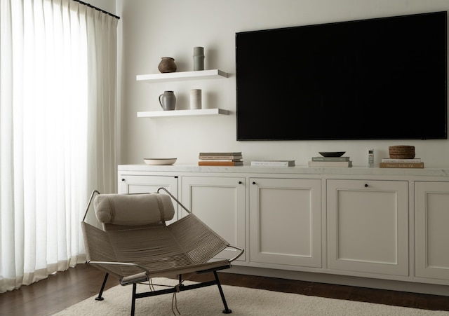 living area featuring dark hardwood / wood-style flooring