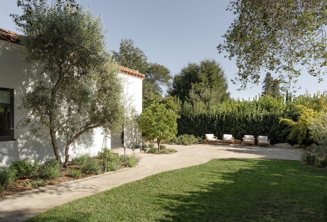 view of yard with a patio area